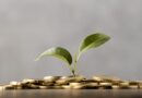 Fundraiser and Crowdfunding in the Arts