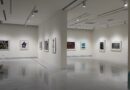 Direttore Galleria Civica d’Arte Moderna e Contemporanea Torino (GAM)