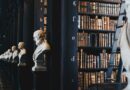 Addetto per Supporto alla Gestione della Biblioteca per l’Accademia delle Belle Arti di Bari.