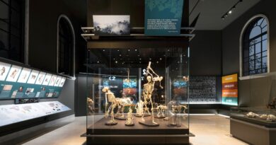 Direttore di Museo – Comune di Fara in Sabina